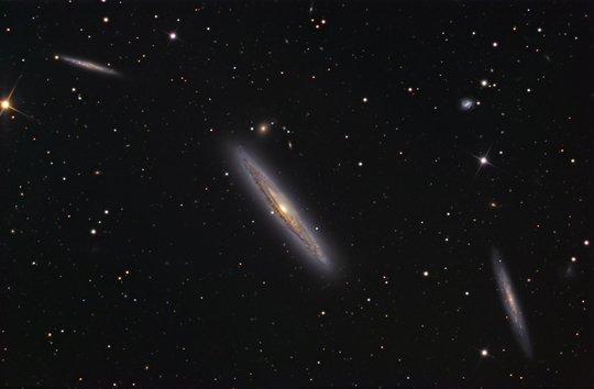 ngc4216 image - courtesy of johannes schedler, panther observatory, austria