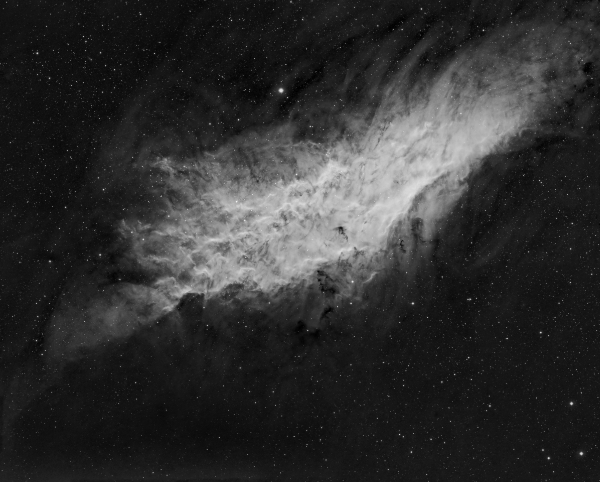 The California Nebula (NGC1499) in Hydrogen Alpha - Image Courtesy of Sara Wager