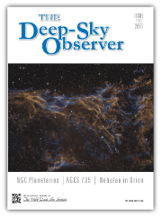 Publication section thumbnail of the DSO cover