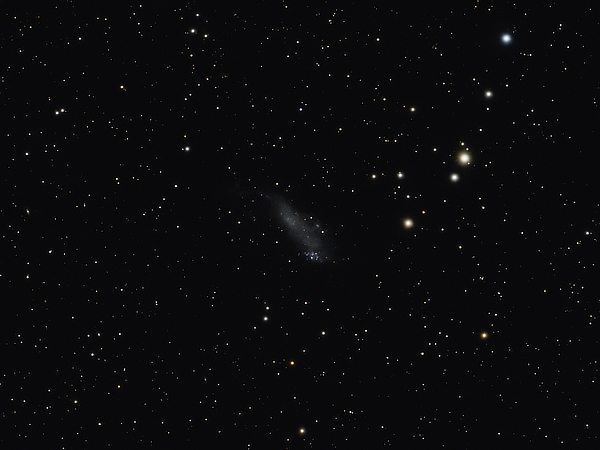 IC 2574 in Ursa Major - Image Courtesy of David Davies