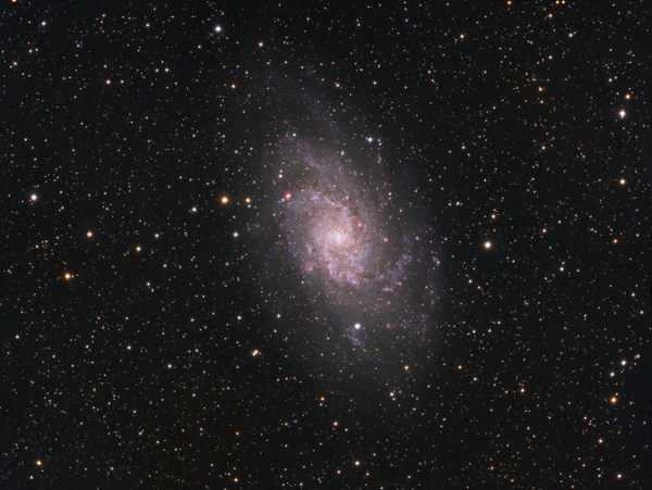 Messier 33 - Image Courtesy of David Davies