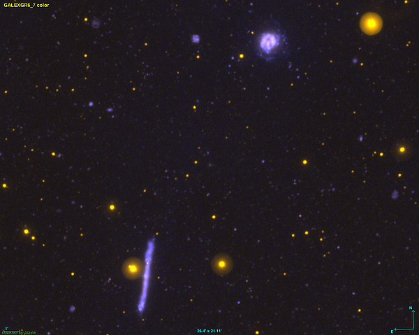 A UV image of galaxies NGC 2537 and IC 2233 in Lynx provided by the Galaxy Evolution Explorer (GALEX)