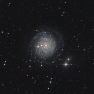 The face-on spiral galaxy NGC 3344 in the Constellation of Leo Minor - Image Courtesy of Bernhard Hubl The face-on spiral galaxy NGC 3344 in the Constellation of Leo Minor - Image Courtesy of Bernhard Hubl