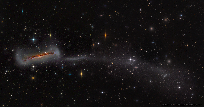 A mosaic image of galaxy NGC 3628 with its tidal stream in Leo courtesy of Mark Hanson