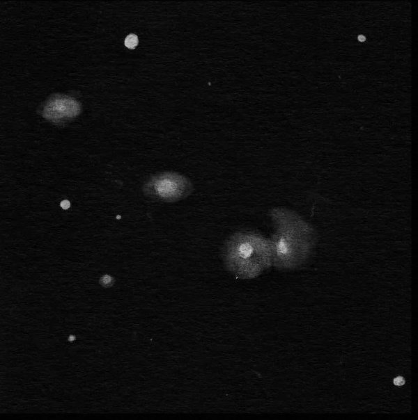 An EAA pencil sketch of the NGC 4410A group in Virgo by Dale Holt