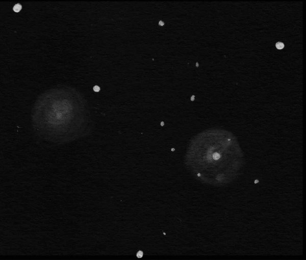 An EAA pencil sketch of NGC 4411A and B in Virgo by Dale Holt