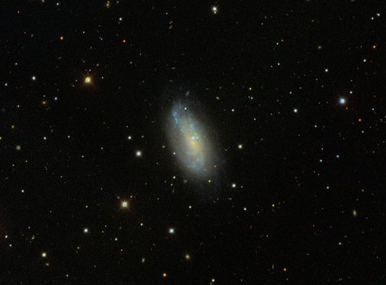 An image of galaxy NGC 6207 in Hercules provided by the Sloan Digital Sky Survey (SDSS)