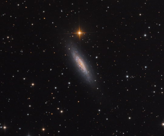 NGC6503 - Image Courtesy of Bob and Janice Fera