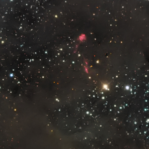 An image of the Chamaeleon II Dark Cloud Complex courtesy of Don Goldman