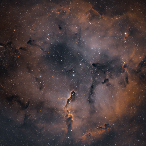 Emission nebula IC1396 in Cepheus - Image Courtesy of Panagiotis Andreou (aka Takis) Emission nebula IC1396 in Cepheus - Image Courtesy of Panagiotis Andreou (aka Takis)