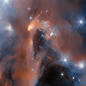 An image of the reflection nebula NGC 1333 in Perseus in infrared wavelengths by the JWST courtesy of ESA/Webb, NASA & CSA, A. Scholz, K. Muzic, A. Langeveld, R. Jayawardhana