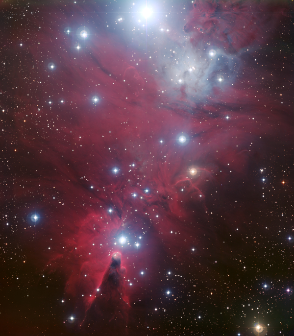 NGC 2264 and the Christmas Tree cluster by ESO