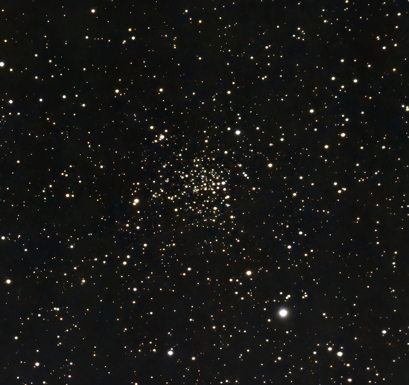 An image of open cluster NGC 6939 in Cepheus taken by Patrick Maloney with his ZWO Seestar S50