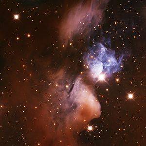 Van den Bergh 24 and XY Persei in Perseus courtesy of T.A. Rector (University of Alaska Anchorage) and H. Schweiker (WIYN and NOIRLab/NSF/AURA)